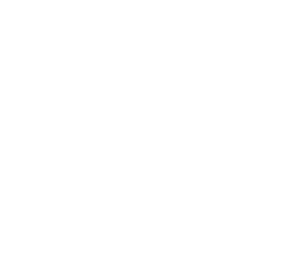 VV Surf